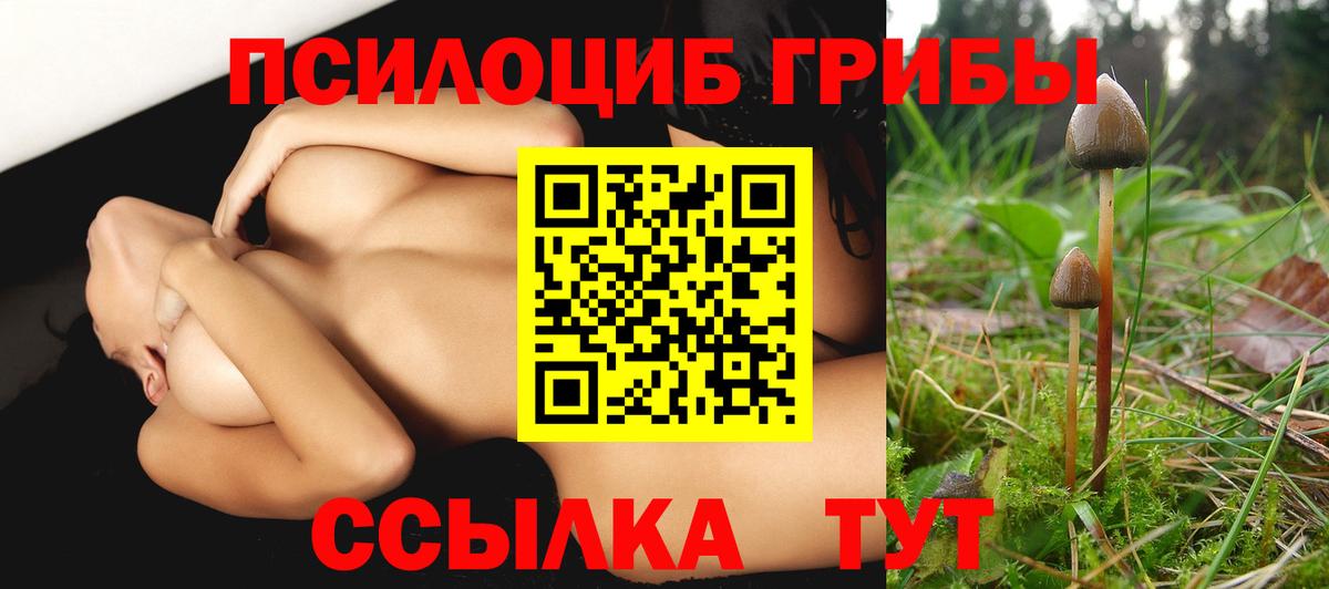 Галлюциногенные грибы мухоморы Москва