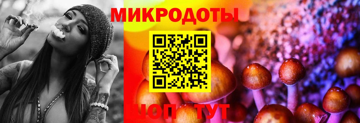 Псилоцибиновые грибы Psilocybe  Вход с VPN  Галлюциногенные грибы мухоморы  Москва 